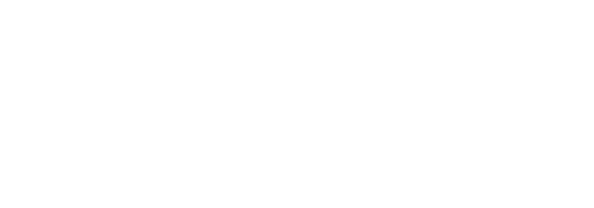 iPaladin_Logo_Tagline_White