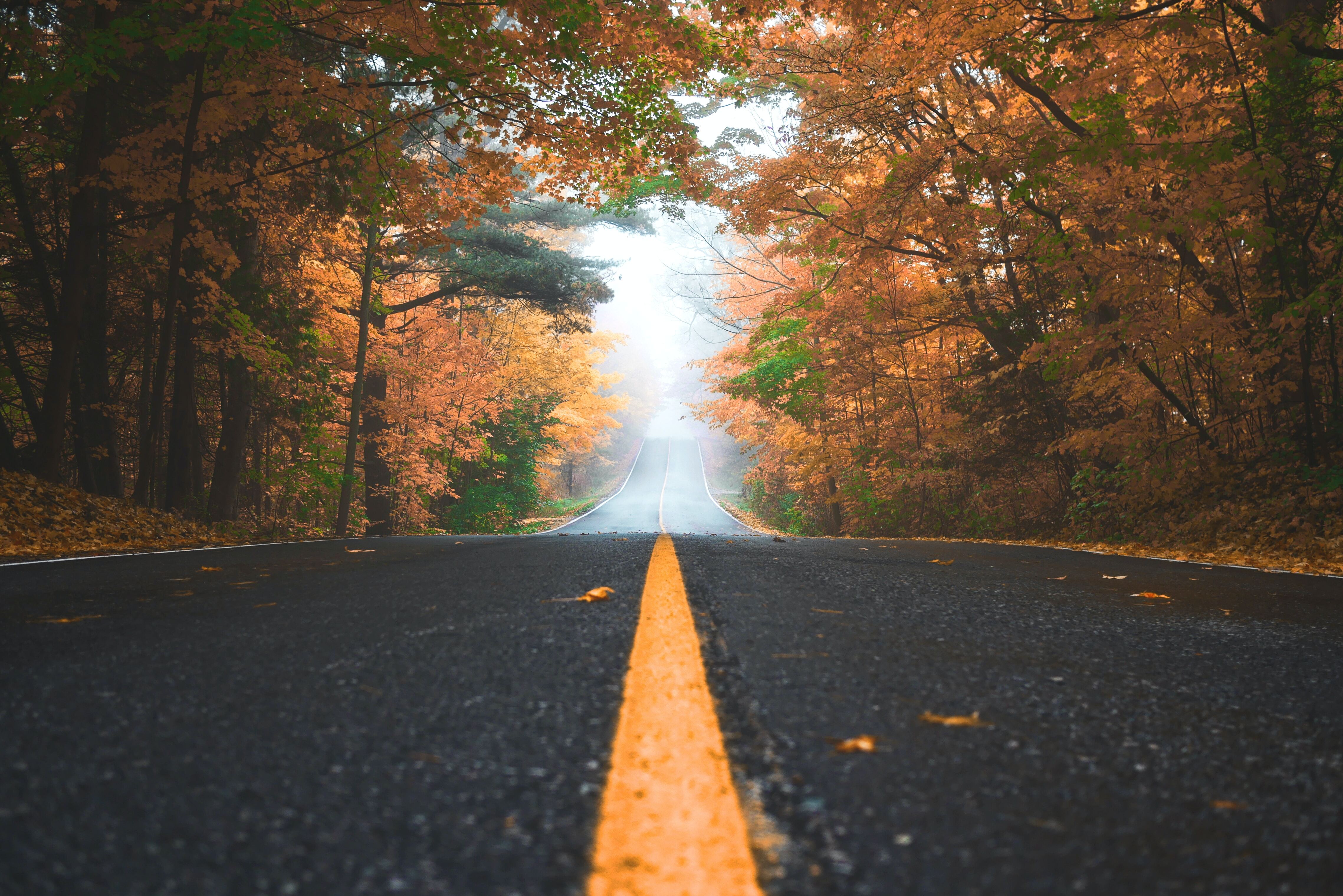 The Transformational Journey: From Perceived Organization to True Efficiency With iPaladin