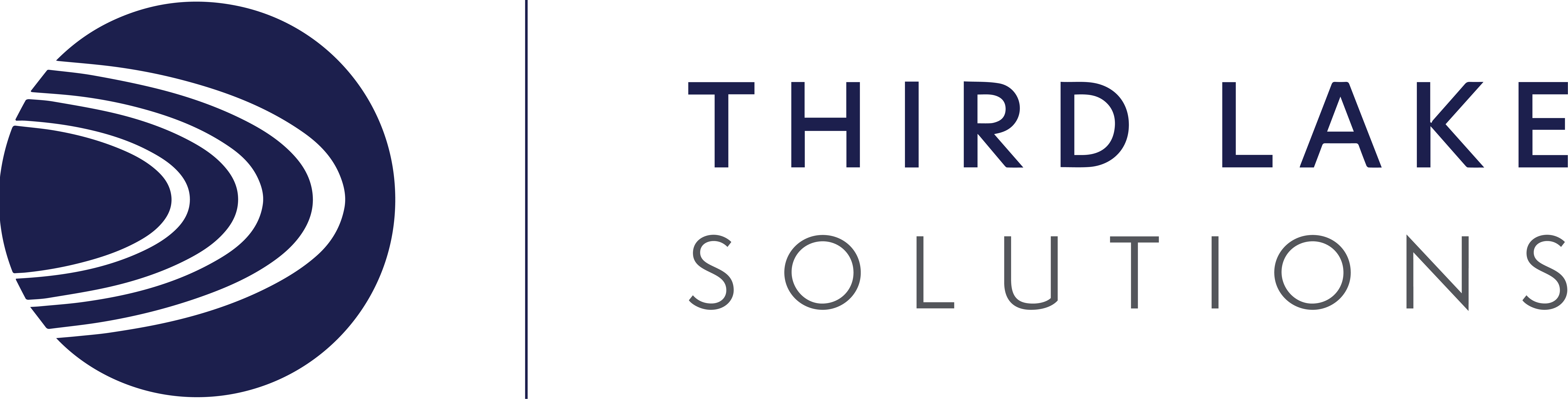 TLS - Logo - Blue & Grey